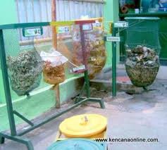 images_146